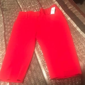 Red dressy Capri slacks